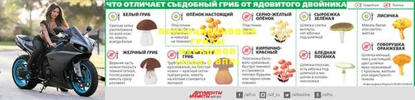 гидропоника Беломорск