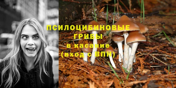 гашик Белоозёрский