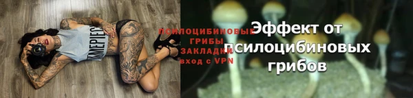 гидропоника Беломорск
