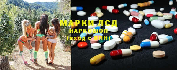 бошки Белокуриха