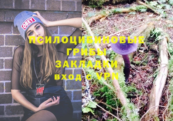 бошки Белокуриха
