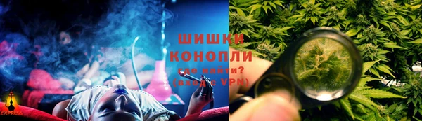 бошки Белокуриха