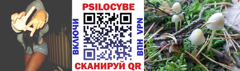 наркота  omg онион  Галлюциногенные грибы прущие грибы  Шадринск 